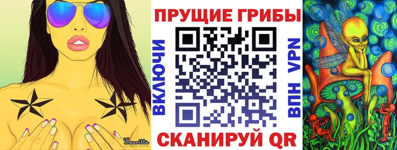 Купить закладки  Лукоянов  Псилоцибиновые грибы MAGIC MUSHROOMS 