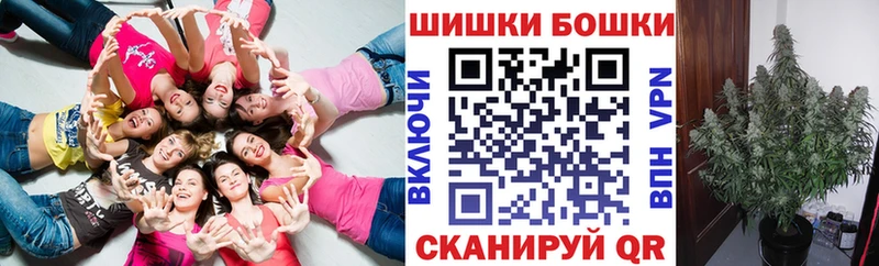 Шишки марихуана планчик  Купить где  Лукоянов 